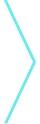 Rich King arrow